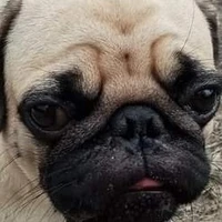 แอด