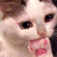 แอดเองง👉👌