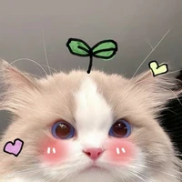 Author nim