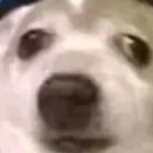 ความขี้เกียดของอีแอด