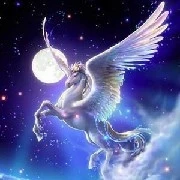 ล็อตเต้(เพกาซัส)