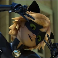 chat noir