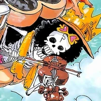 Brook