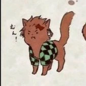 Tanjiro (Neko)