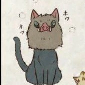 Inosuke (Neko)