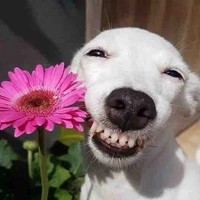 คนขี้เสือก(แอ๊ดเอง)