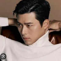 Hyun Bin park ( pai das meninas)