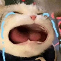 แอดเอง