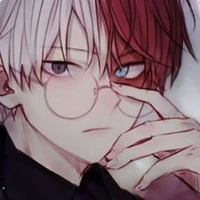 shoto todoroki