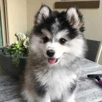 : แอด