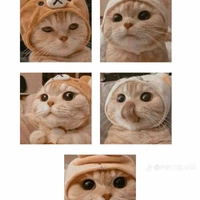 ครูประจำชั้น(ห้องพ.อ,น.อ)