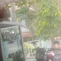 penjual