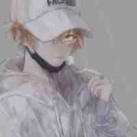 Y/N Frost