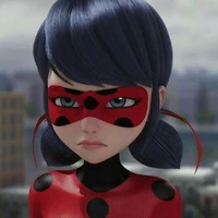 ladybug
