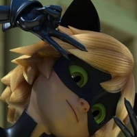 cat noir