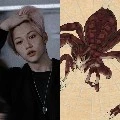 Felix