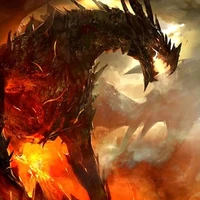 roi dragon