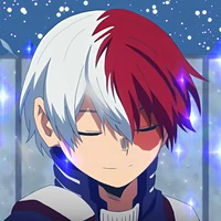 shoto todoroki