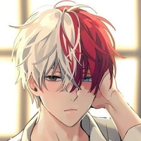 Todoroki {O.P}