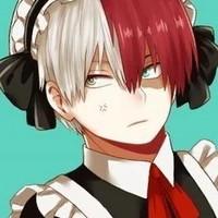 todoroki shoto
