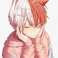 Todoroki