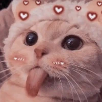 ถุงทอง(ตัวเอก)