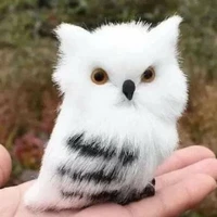 เฮดิส(เพื่อนร่วมทาง)