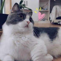 ถั่ว