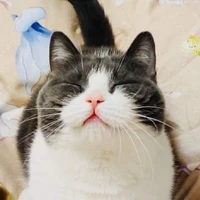 ถั่ว
