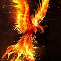 Phoenix Menia