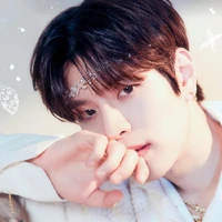 Bang seungmin/minnie