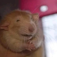 แอดยู