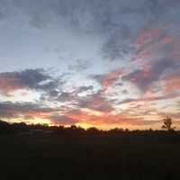 แอดเอง