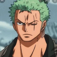 Zoro(-"-;)