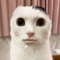 แอด(ต.ป.กชั้นสูง)🤏👁️👄👁️