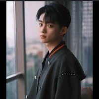 Wu Bi