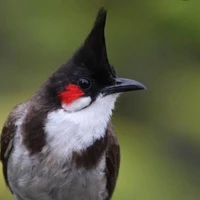 เป็นทุกอย่างให้เธอแล้ว