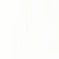 สัตว์วิญญาณ -