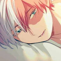 Shoto todoroki ( Omega puro 🤗 ♦️