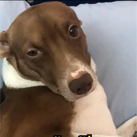 แอดสี้ ขยี้ใจ