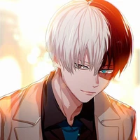 Shoto Todoroki (A.D)
