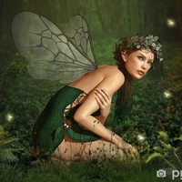 fairy 