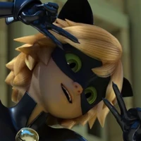 chat noir