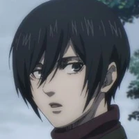 mikasa