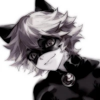 Chat noir
