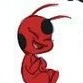 Tikki//kwami