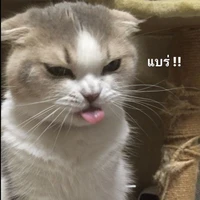 แอดด