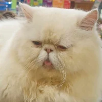 แม่ของบูด