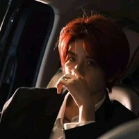 ดิเรก (พ่อพระเอก)