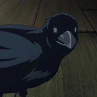 𝑐𝑜𝑟𝑣𝑜 𝑘𝑎𝑧𝑢𝑔𝑎𝑖